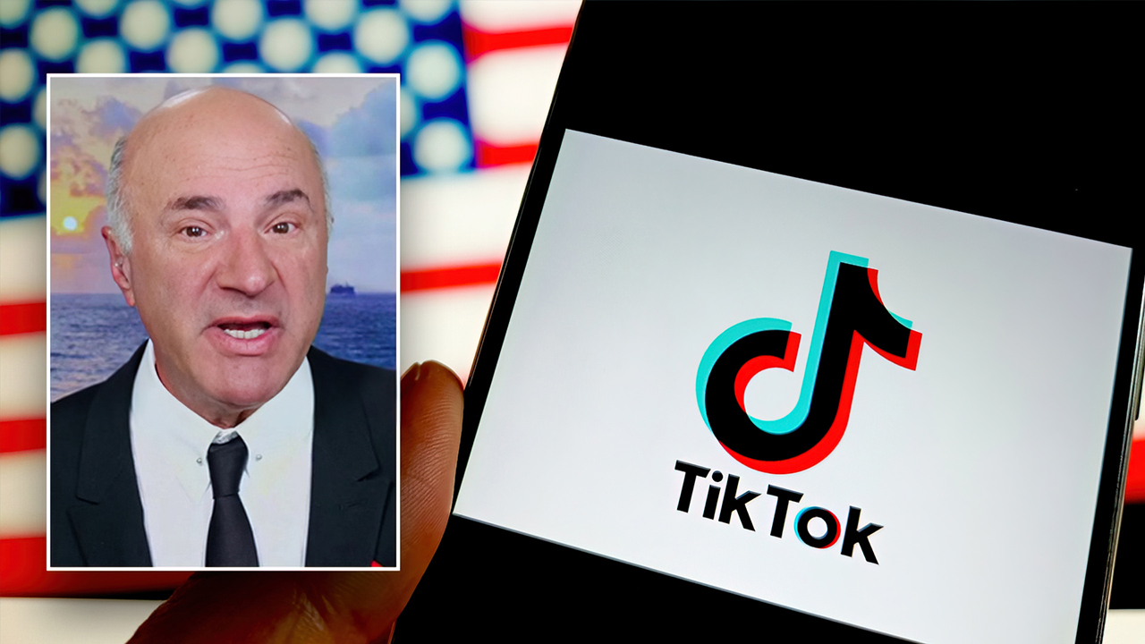 Who Could Be the Next Owner of TikTok? Musk, MrBeast, or Larry Ellison?